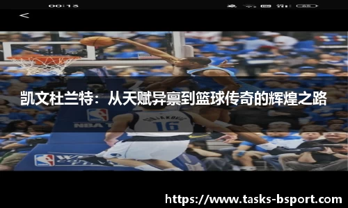 b体育